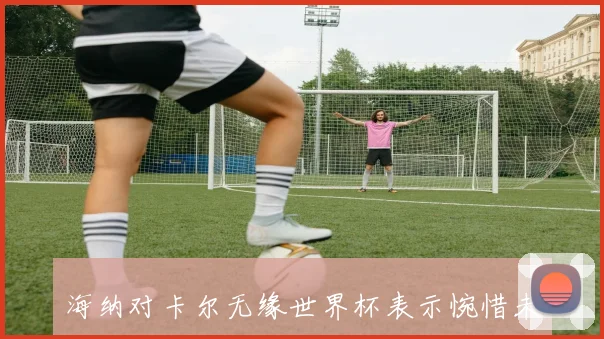 海纳对卡尔无缘世界杯表示惋惜未来发展前景依然光明