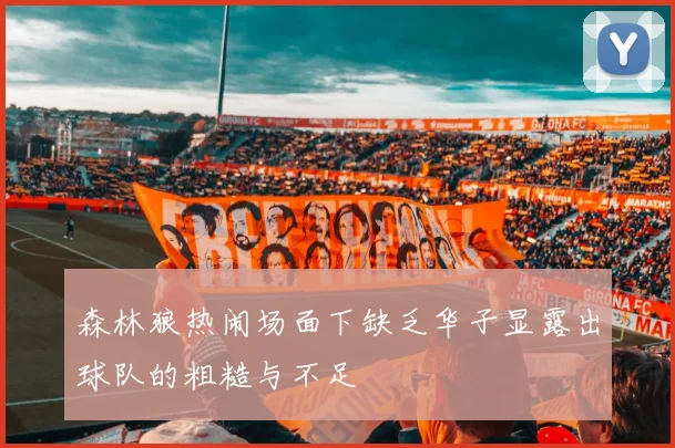 森林狼热闹场面下缺乏华子显露出球队的粗糙与不足